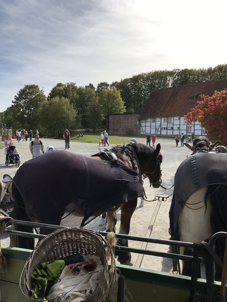 Pferdewagen im Freilichtmuseum Detmold