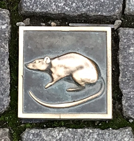 Ratte als Pflasterstein in Hameln
