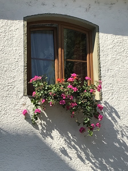 Blumenschmuck am Fenster