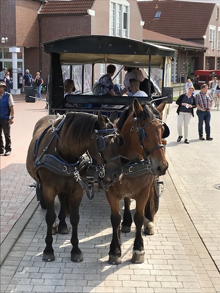Pferdekutsche auf Langeoog