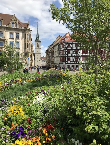 Bunte Blumen in Erfurt am Marktplatz