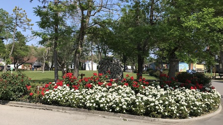 Bunte Blumen auf dem Camping Capalonga in Italien