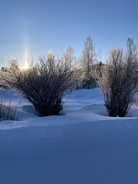Frühes Sonnenlicht im schwedischen Winter