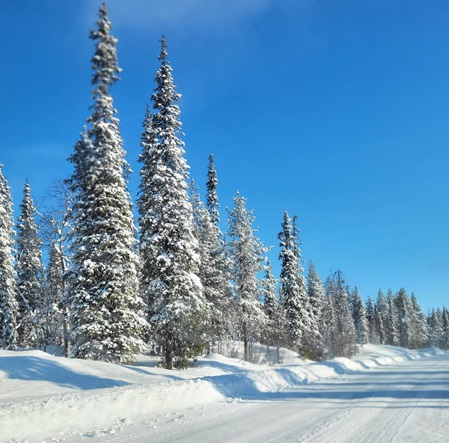 Finnische Winterlandschaft