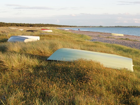 Ruderboot an Strandlandschaft