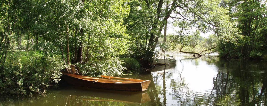 Ruderboot auf einem kleinen Seitenarm