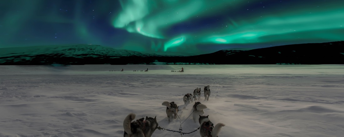 Winterliche Landschaft