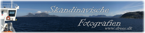 Logo_Skandinavische Fotografien